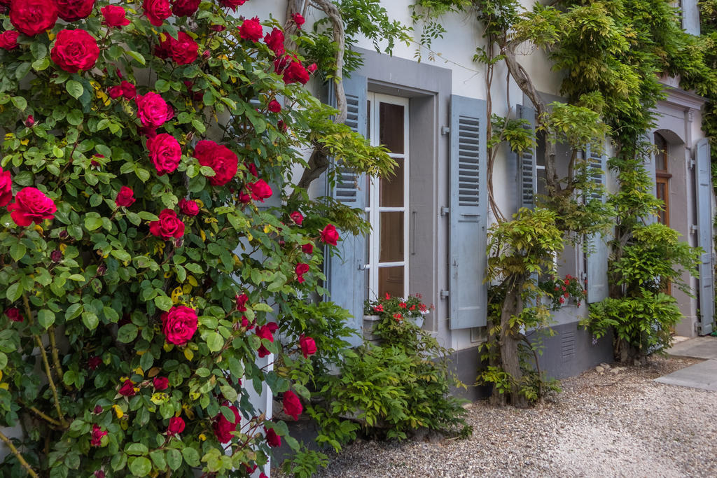 Chateau De Bossey Bogis-Bossey Екстер'єр фото